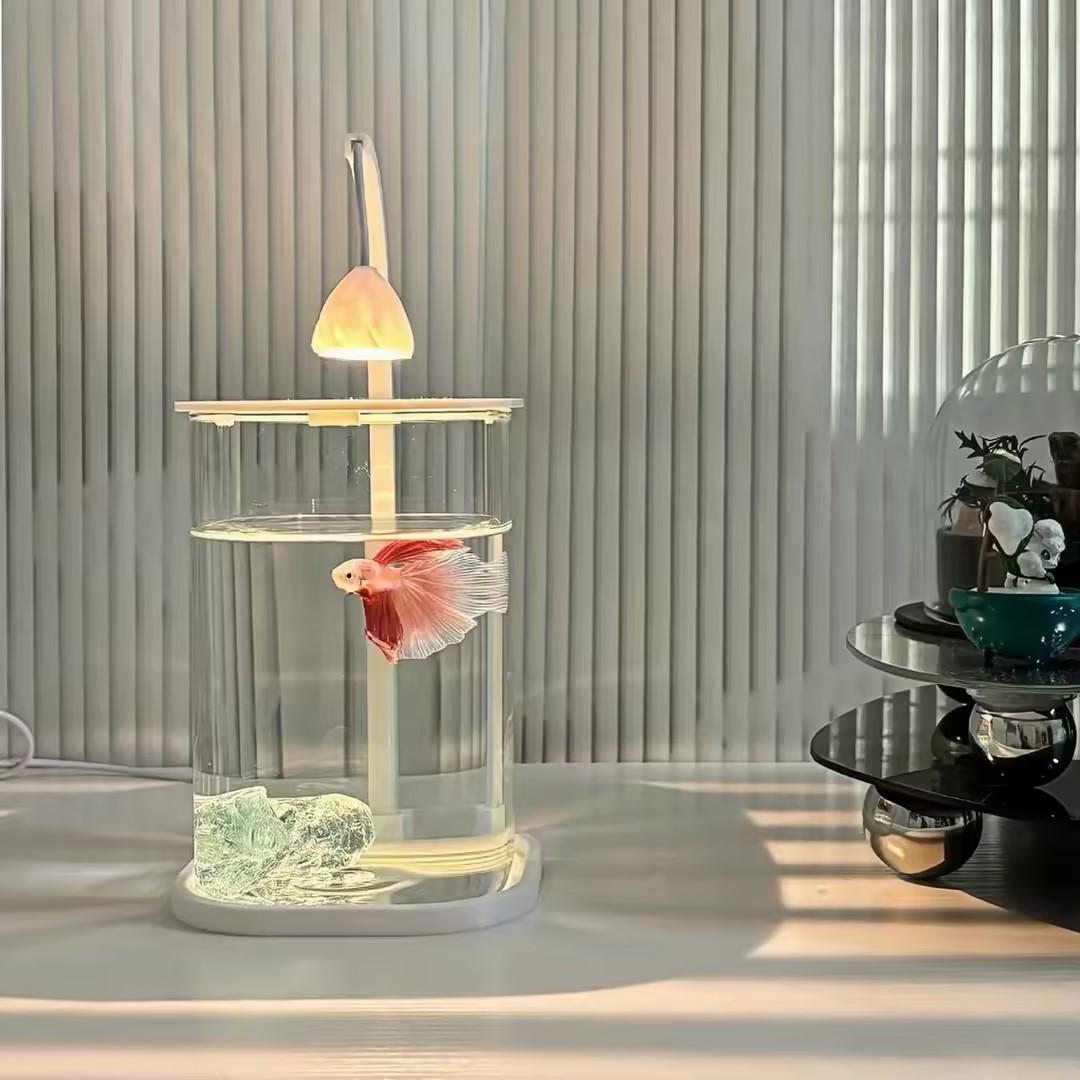 Planted Aquarium For Goldfish - 360 ° Acquario Panoramico Trasparente da