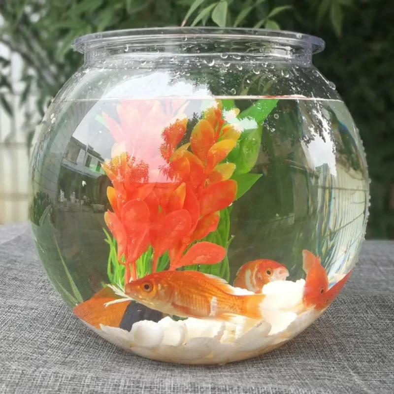 Planted Aquarium For Goldfish - Acquario da tavolo per pesci rossi
