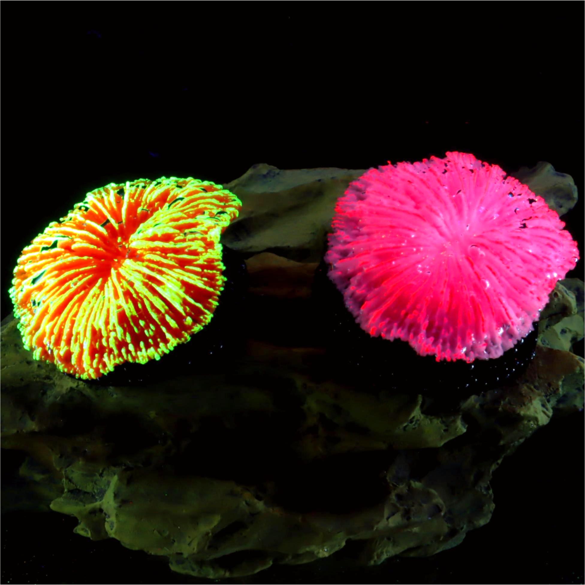 1 Pezzo Decorazione per Acquar - Aquarium Planet recensione e prezzo
