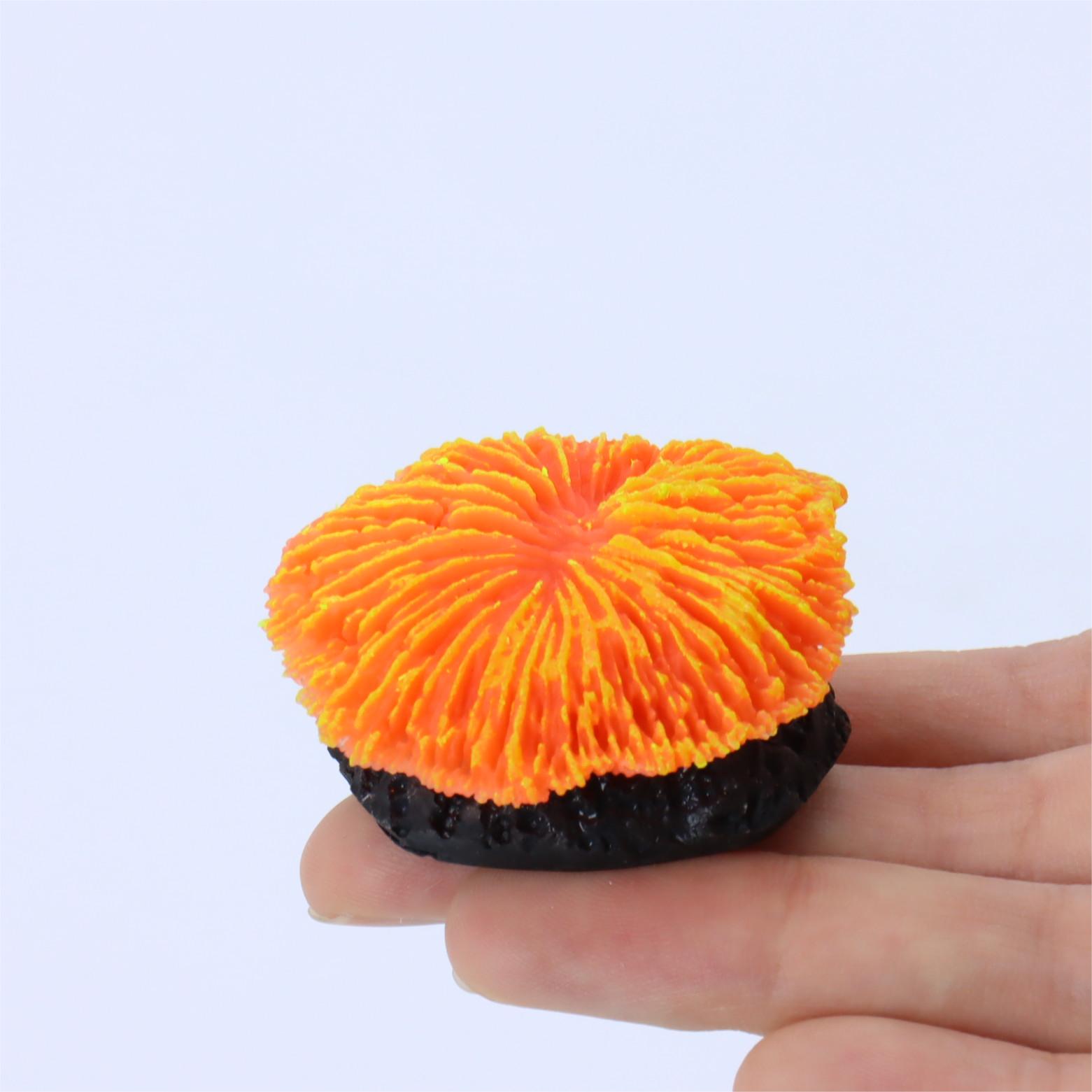 1 Pezzo Decorazione per Acquar - Aquarium Planet recensione e prezzo