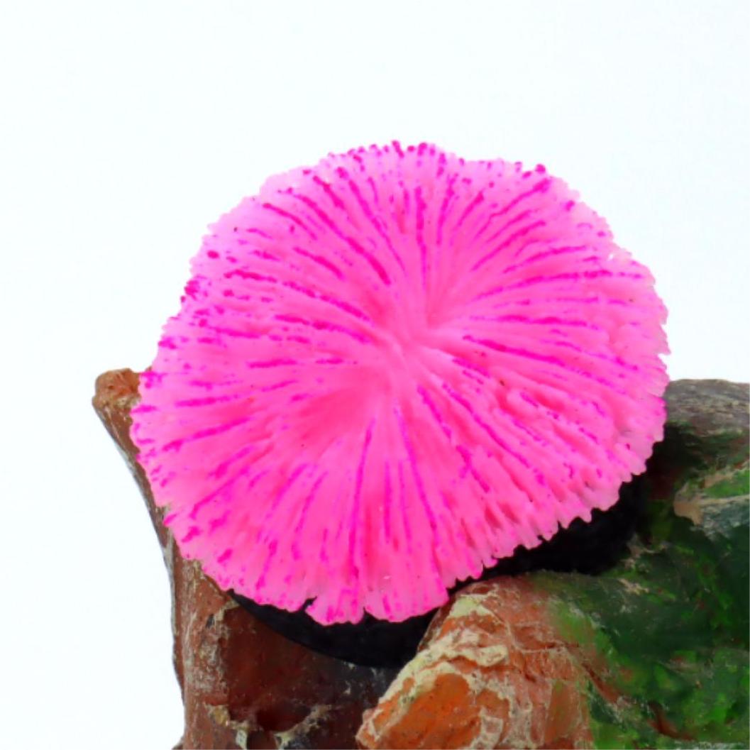 1 Pezzo Decorazione per Acquar - Aquarium Planet recensione e prezzo