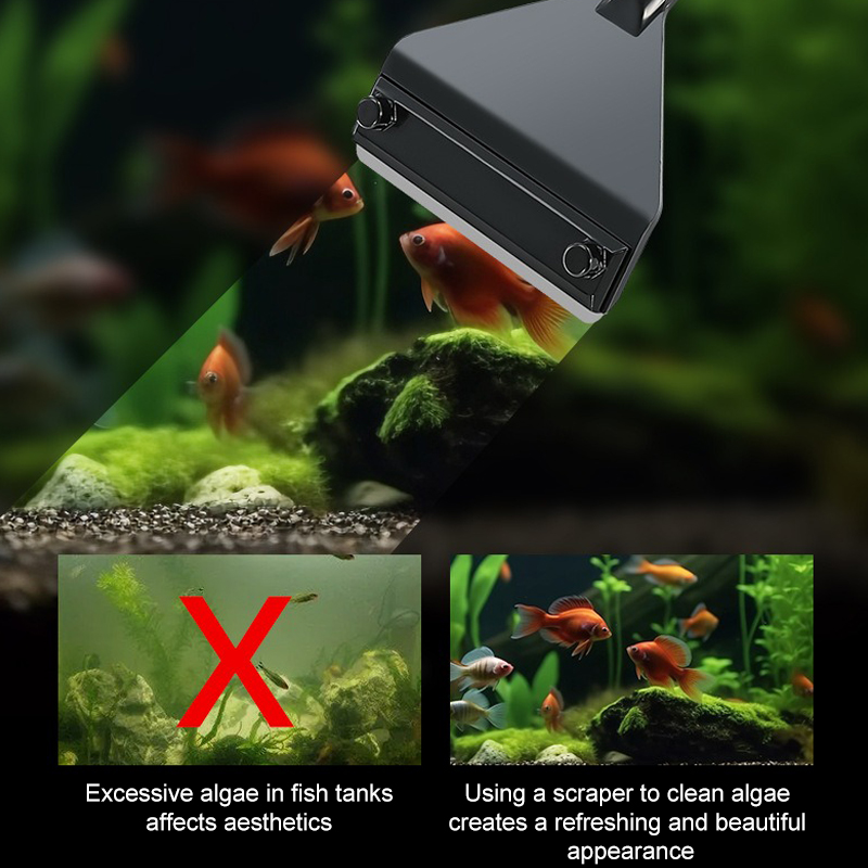 Rimozione delle alghe dell'acq - Planted Aquarium Algae Remover recensione e prezzo