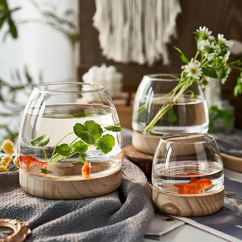 Acquario decorativo rotondo in - Planted Aquarium For Goldfish recensione e prezzo