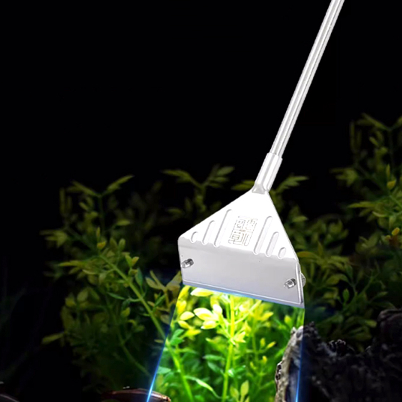 Rimozione delle alghe dell'acq - Planted Aquarium Algae Remover recensione e prezzo