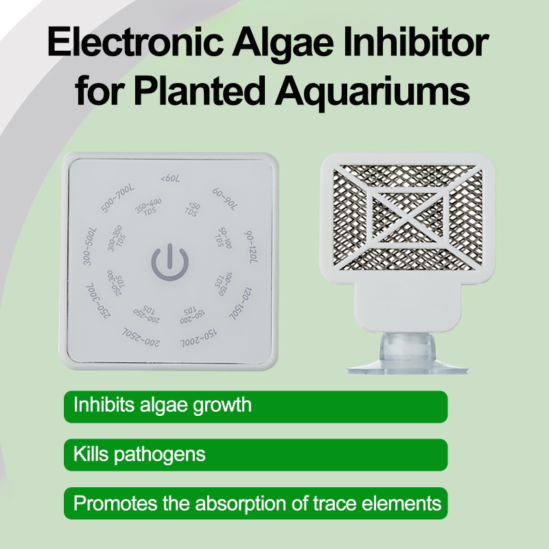 Strumento elettronico per la p - Planted Aquarium Algae Remover recensione e prezzo