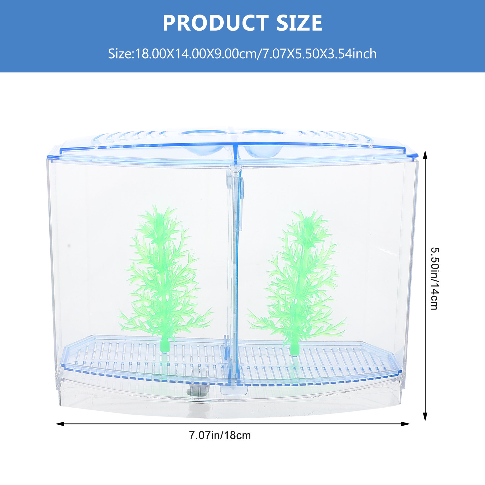 1 set di piccoli acquari da ta - Planted Aquarium For Goldfish recensione e prezzo