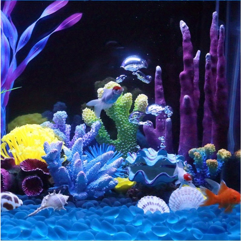 Pietra decorativa per acquario - Aquarium Planet recensione e prezzo