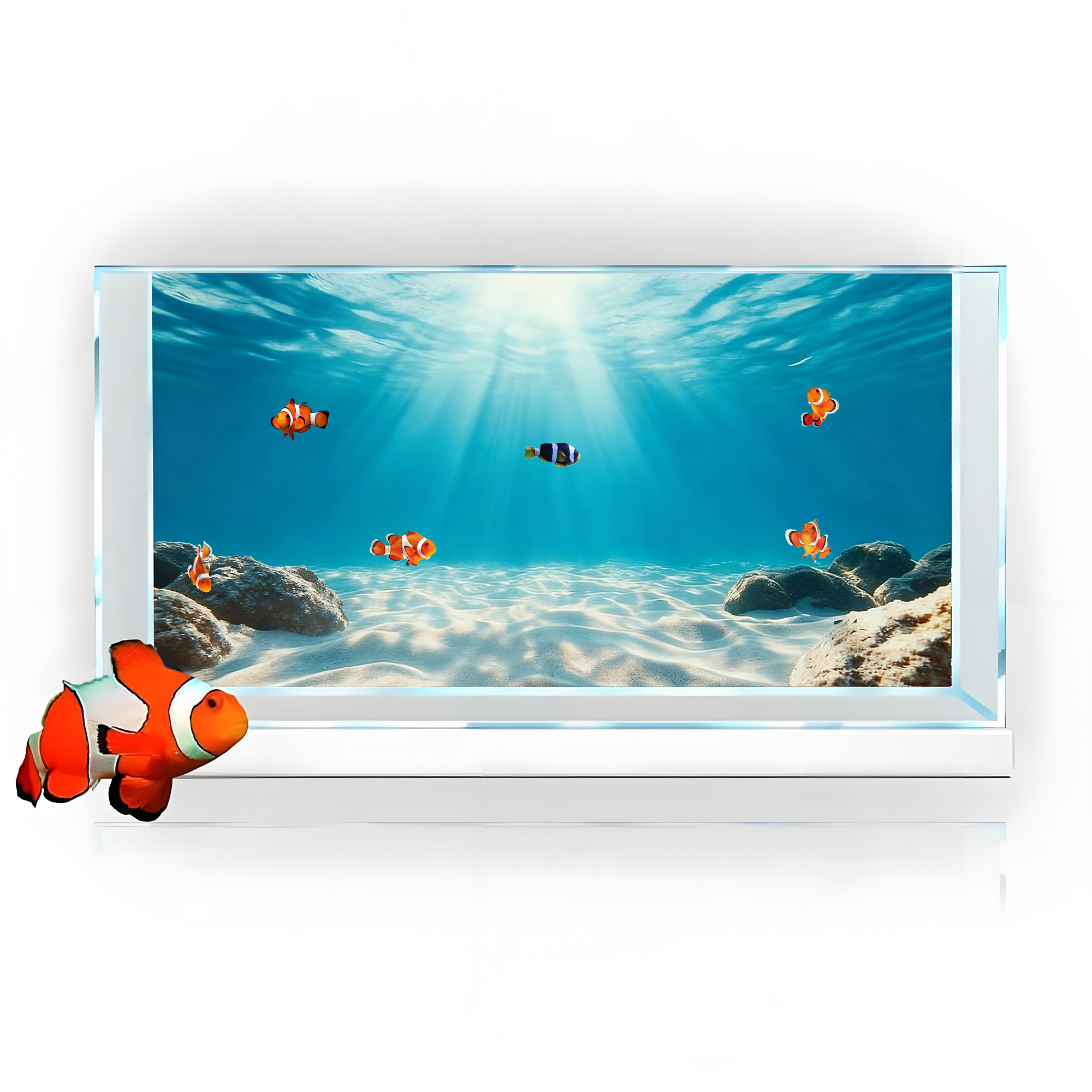 Sabbia Blu Trasparente, Decora - Aquarium Planet recensione e prezzo