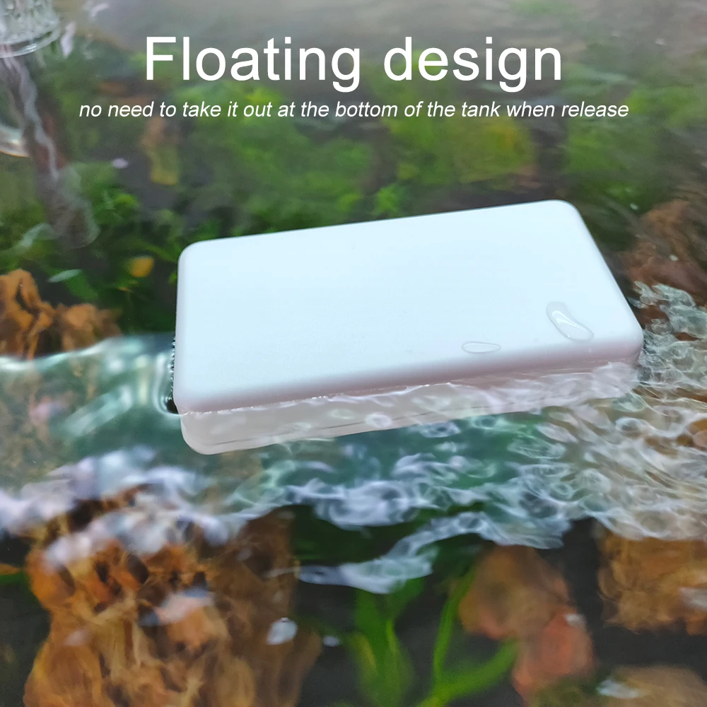 Strumenti per la pulizia dell' - Planted Aquarium Algae Remover recensione e prezzo