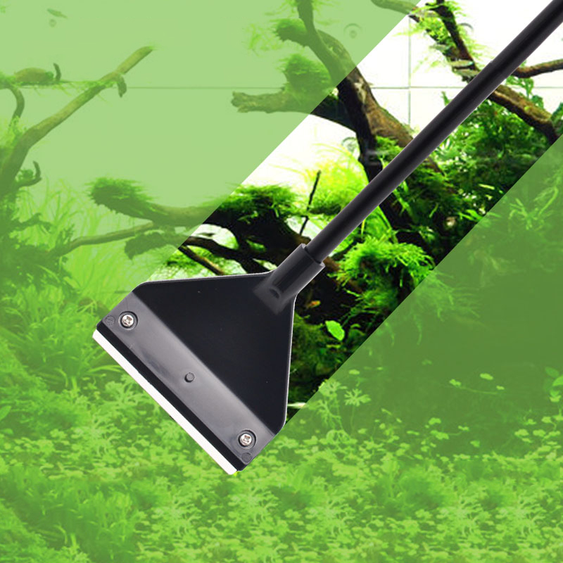 Rimozione delle alghe dell'acq - Planted Aquarium Algae Remover recensione e prezzo