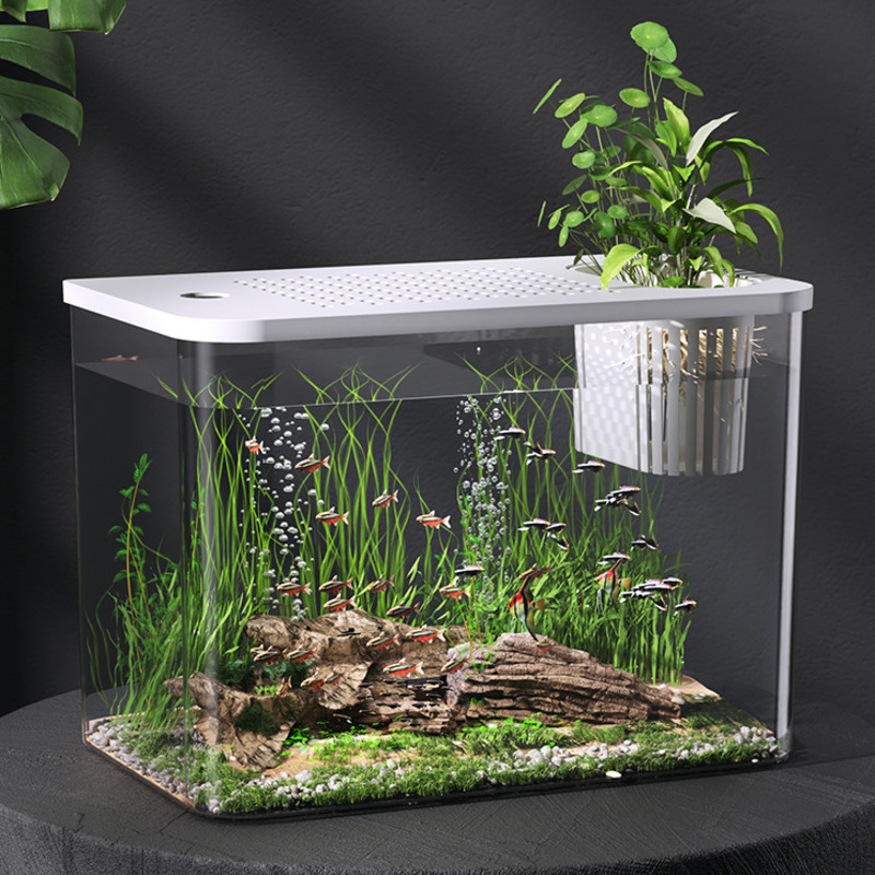 Acquario in plastica con coper - Planted Aquarium For Goldfish recensione e prezzo