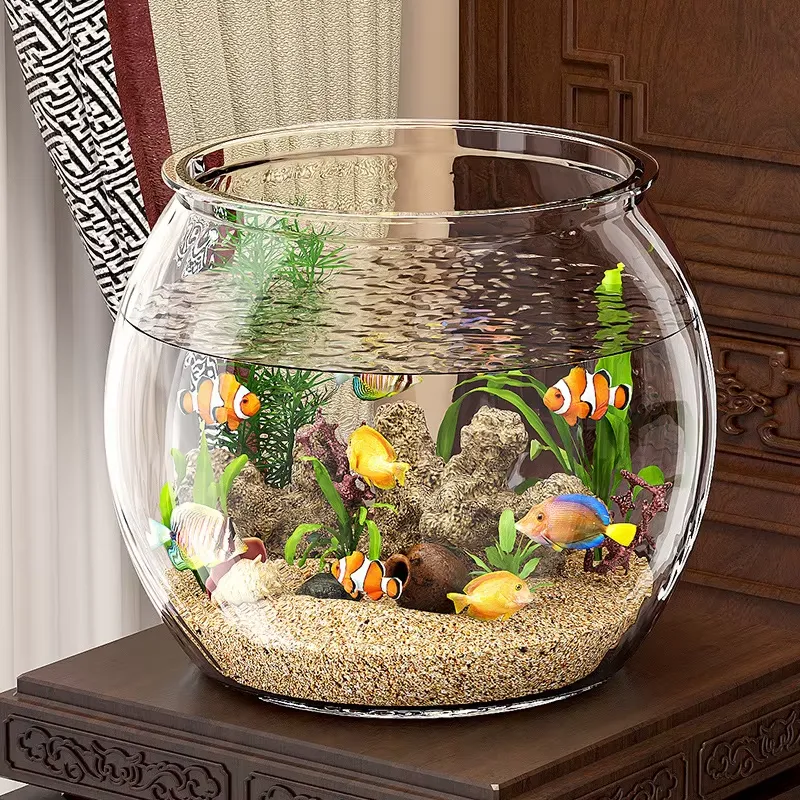 Acquario da Tavolo Compatto in - Planted Aquarium For Goldfish recensione e prezzo