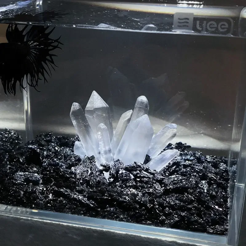 Creativo Betta Decorazione del - Aquarium Planet recensione e prezzo