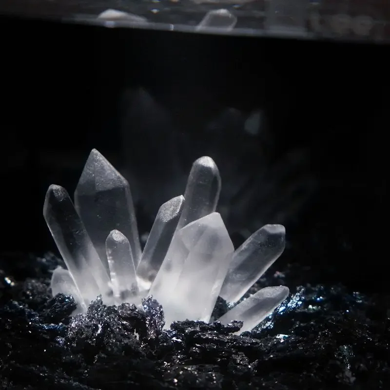 Creativo Betta Decorazione del - Aquarium Planet recensione e prezzo