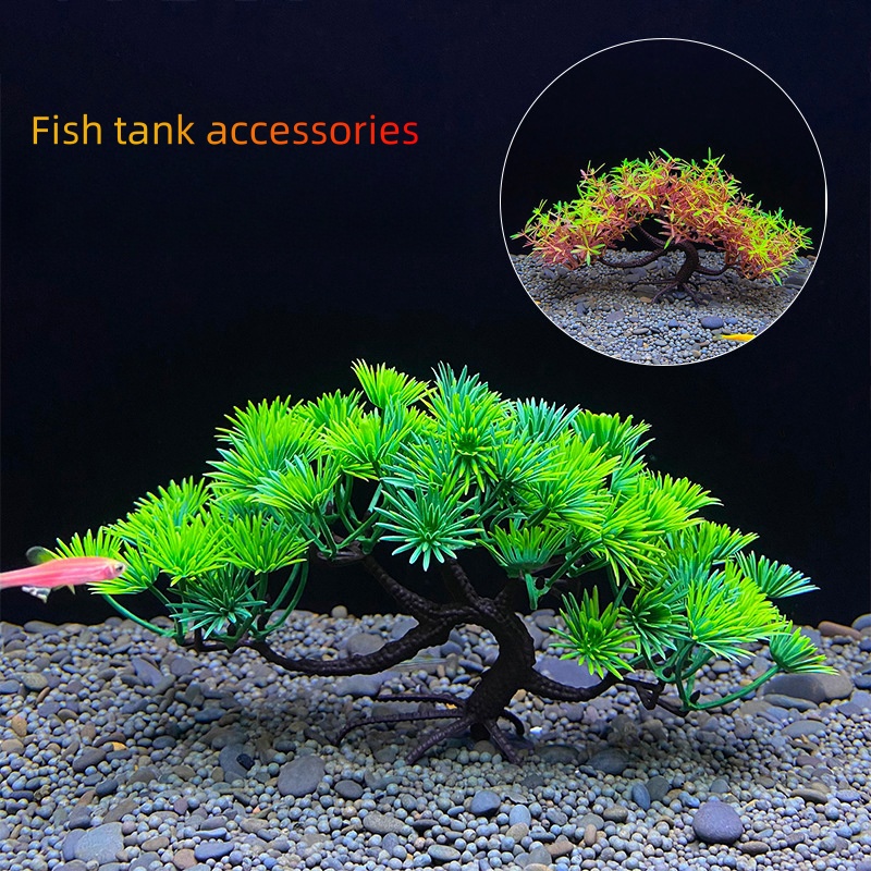 Albero bonsai per acquario, pi - Planted Aquarium For Goldfish recensione e prezzo