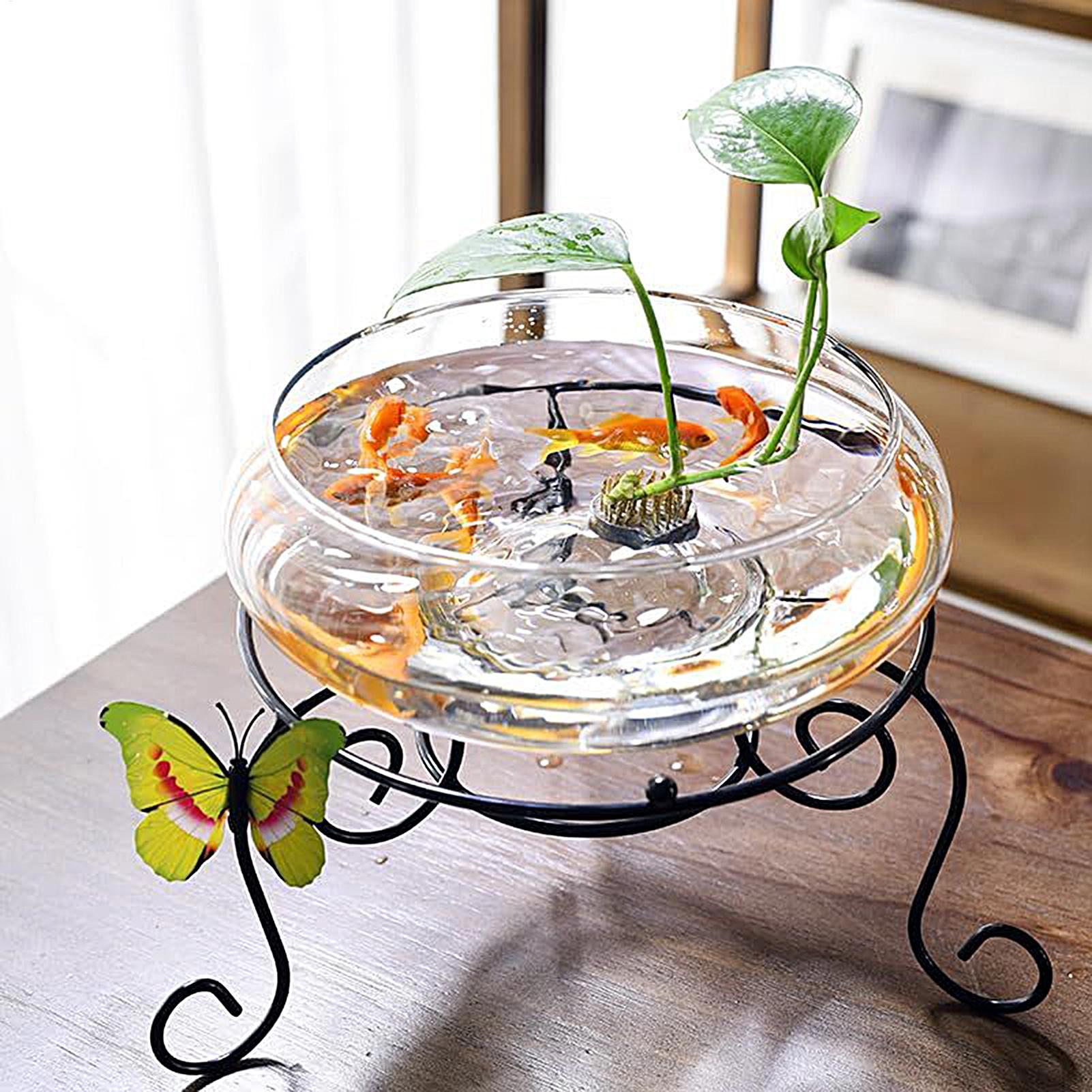 Vaso in vetro per pesci, grand - Planted Aquarium For Goldfish recensione e prezzo