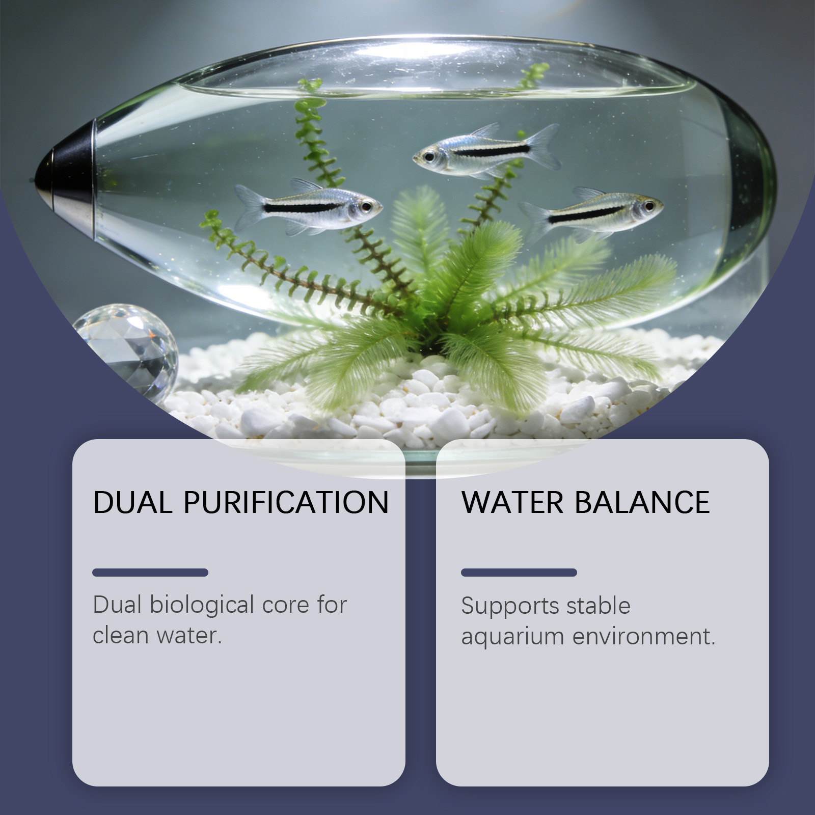 Pastiglie Rimuovi Alghe per Ac - Planted Aquarium Algae Remover recensione e prezzo