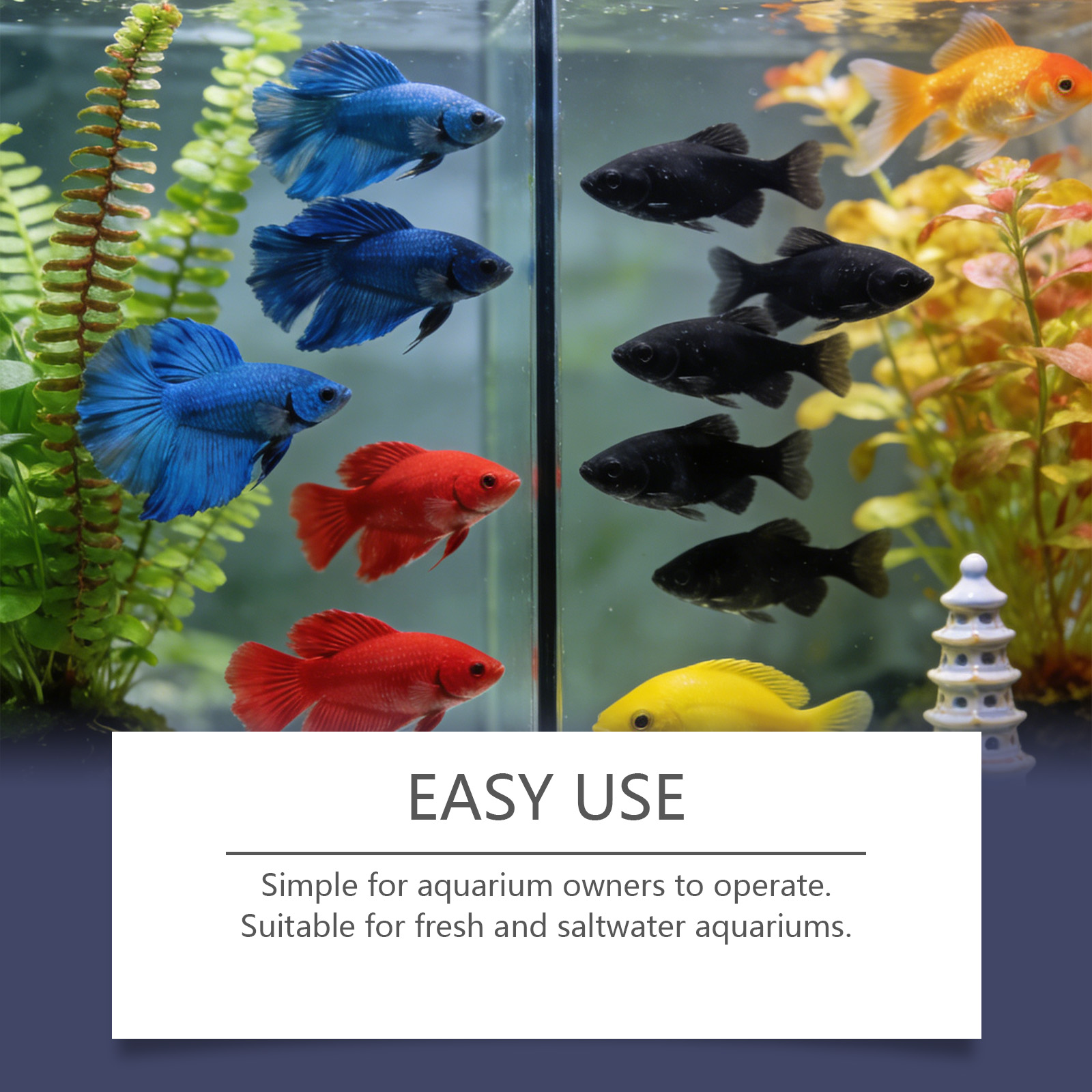 Pastiglie Rimuovi Alghe per Ac - Planted Aquarium Algae Remover recensione e prezzo