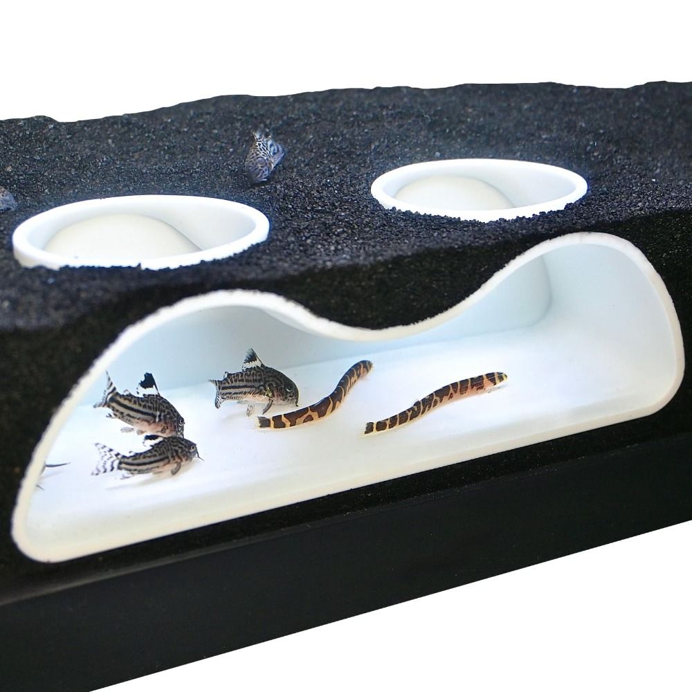 Acquario multifunzionale Tunne - Aquarium Planet recensione e prezzo